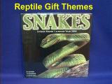 reptile gift