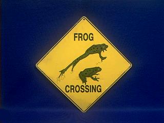 frog_crossing_2.JPG
