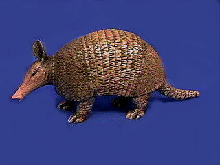 armadillo figurine
