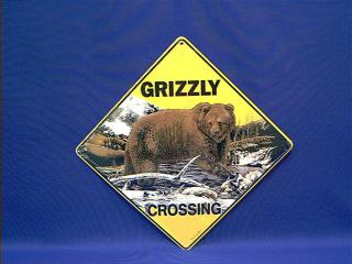 grizzly bear crossing sign
