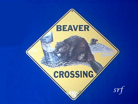 Beaver Crossing