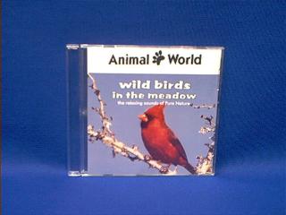 bird singing sound