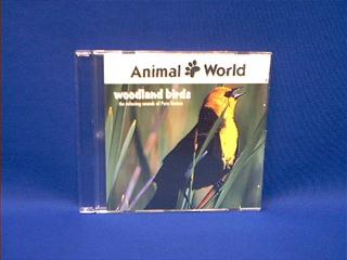 bird song sound