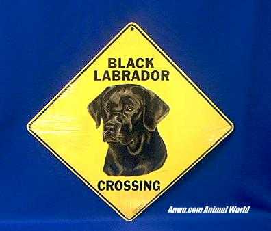 black lab crossing sign labrador