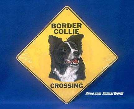 border collie crossing sign