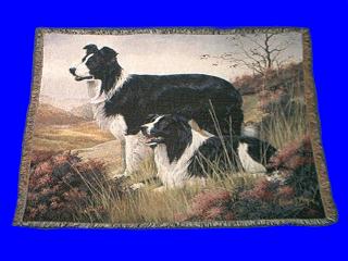 border collie blanket