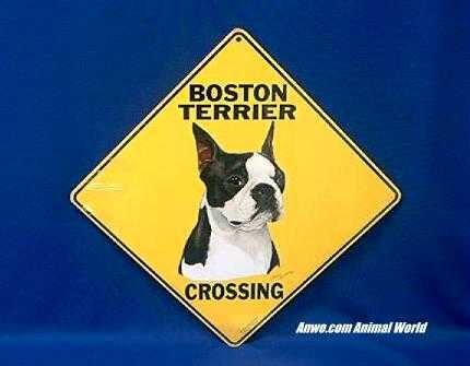 boston terrier crossing sign