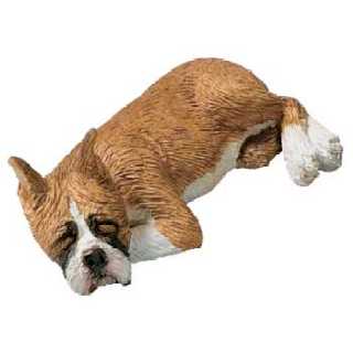 boxer_fawn_snzr.jpg