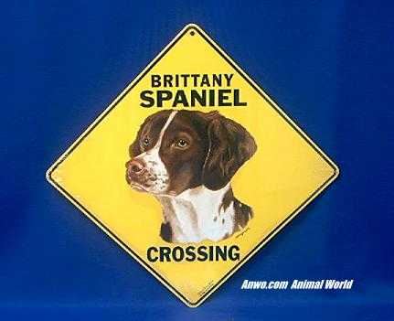 brittany spaniel crossing sign