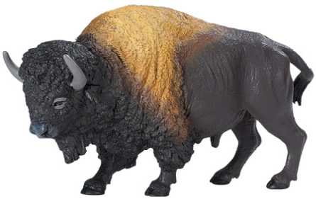 Animal Bison
