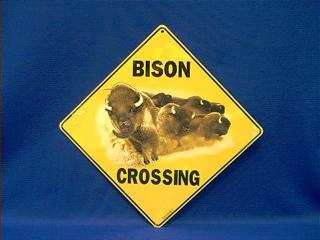 buffalo crossing sign