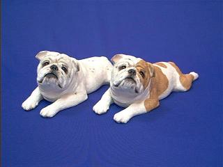 bulldogsandorg2.JPG