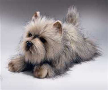 cairn_stuffed_russ_lg.jpg