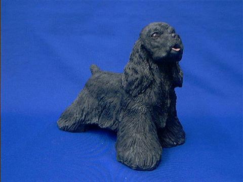 cocker_black_fig_sand_standing.JPG