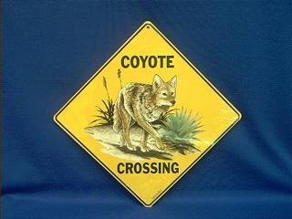 coyote crossing sign