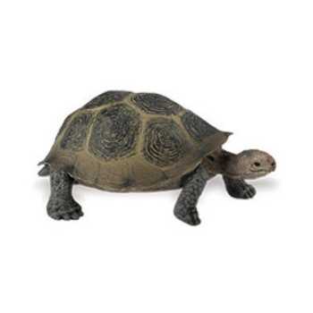 realistic turtle toy