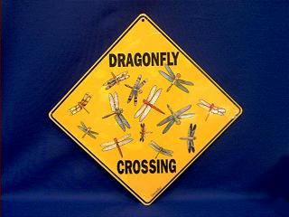 dragonfly crossing sign