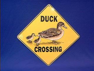 duck crossing sign
