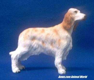 english-setter-figrurine-orange.JPG