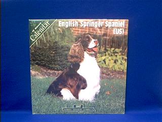 english springer spaniel calendar