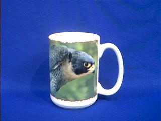 falcon mug