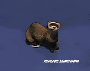 ferret figurine sandicast junior