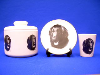 flat coated retriever jar plate shot glass