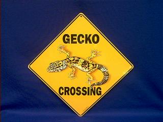 Gecko Signs