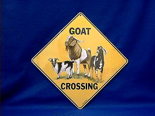 goat crossing sign color