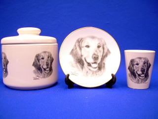 golden_retriever_jps.JPG