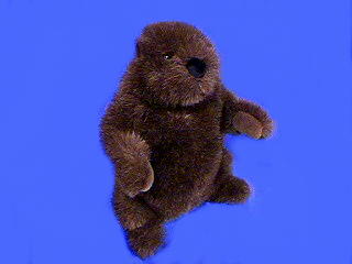 Groundhog Stuffed Animal
