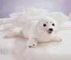 harp_seal_puppet_tn.JPG