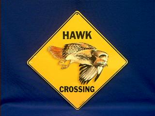 hawk crossing sign