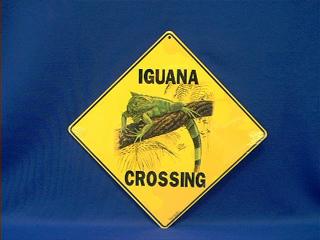 iguana crossing sign