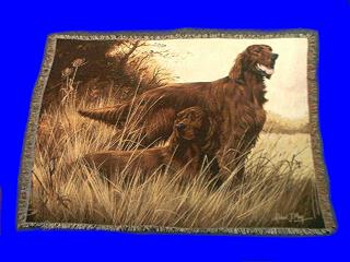 irish setter blanket