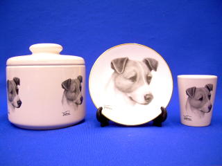 jack_russell_terrier_jps.JPG