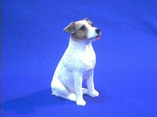 jackrusselsandmid.JPG