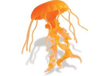 jellyfish toy orange sea nettle