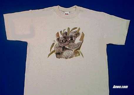 koala shirt