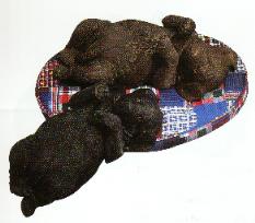 labrador retriever figurine