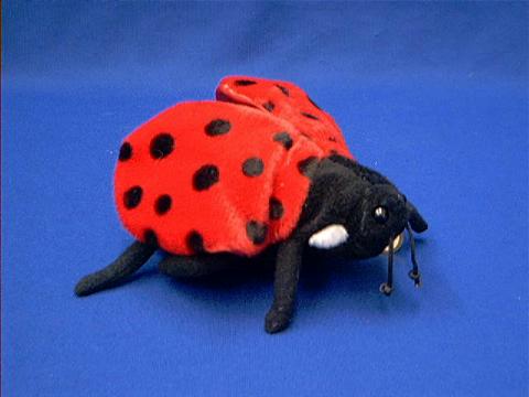 ladybug stuffed animal plush