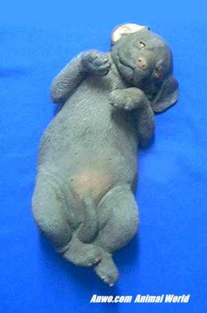lifesize chocolate lab puppy figurine ls347