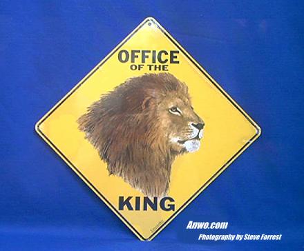 lion crossing sign office of king