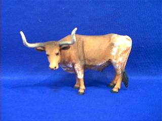 Steer Bull