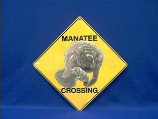 manatee crossing sign