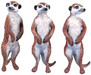 meerkat toy