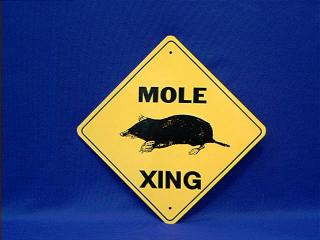 mole crossing sign