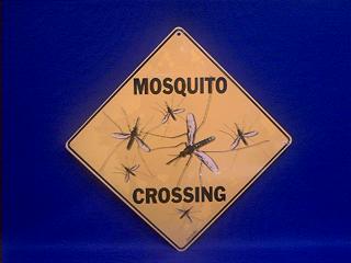 mosquito crossing sign