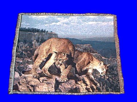 mountain lion blanket 