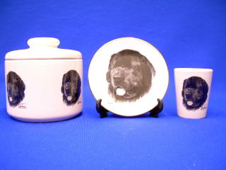 newfoundland jar plate shot glass